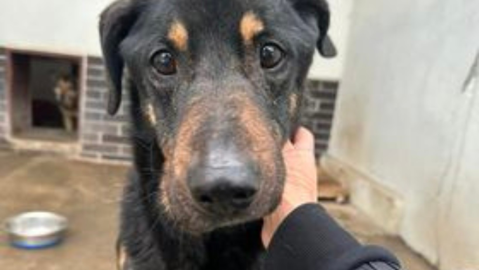 „Akcja Mrozy” zakończona sukcesem!