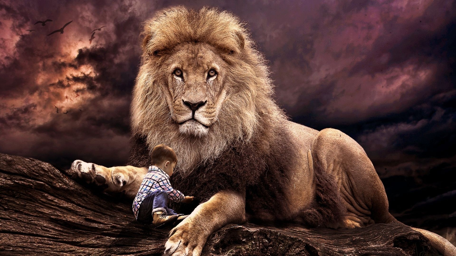 Jak zbudować odporność psychiczną u swojego dziecka i wyposażyć go w wewnętrzną siłę?