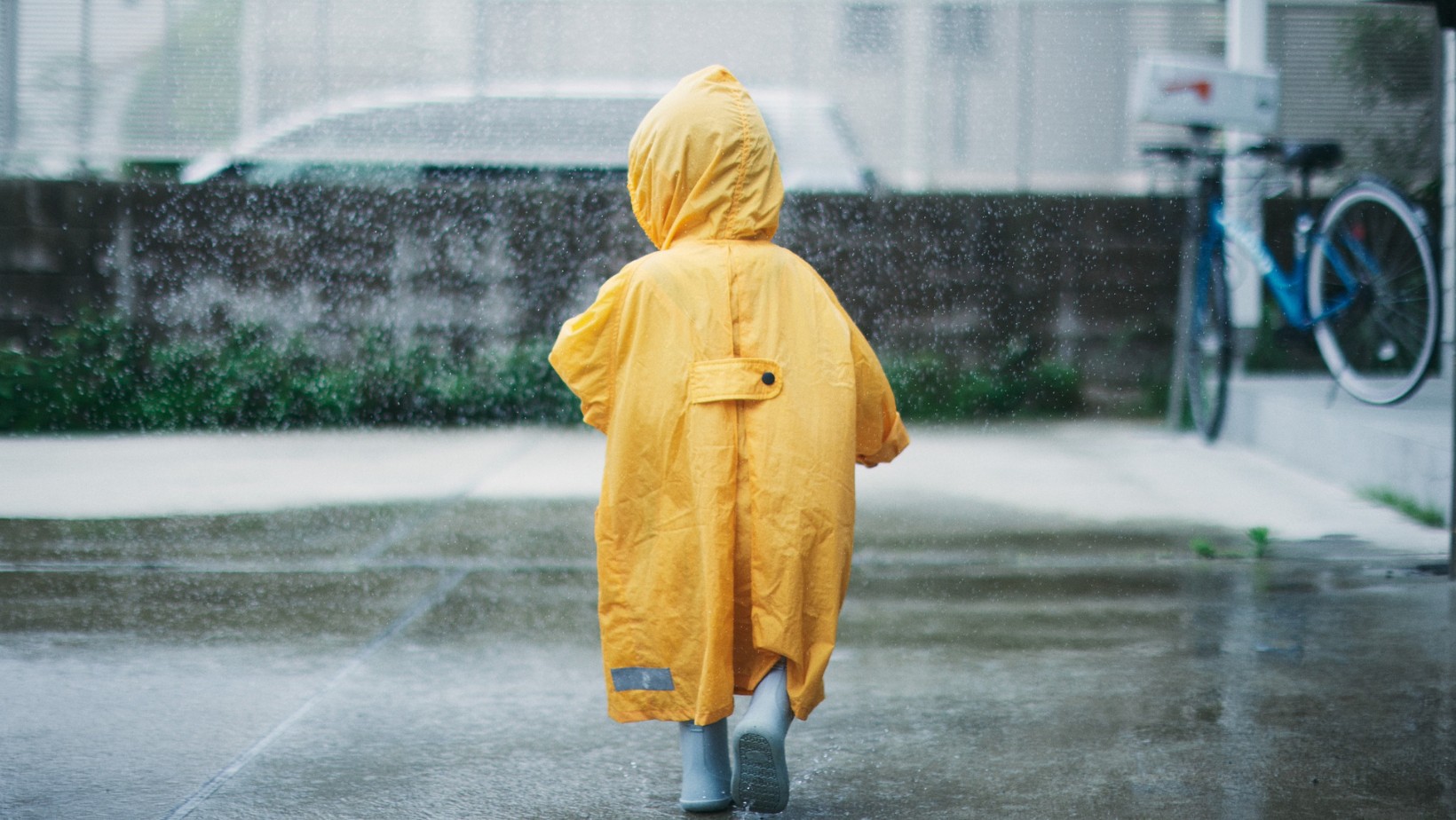 Zdjęcie IMGW bije na alarm! Gigantyczne ulewy i wichury nadciągają nad Polskę #1