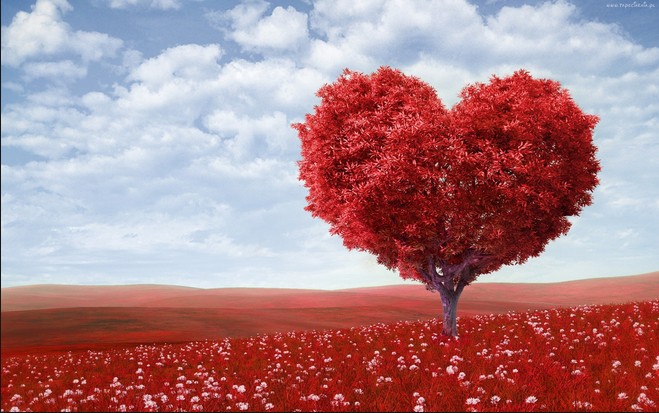 Serce to zwykła rzecz, której żaden człowiek nie umie w …