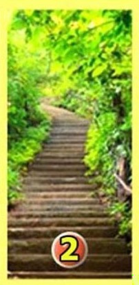 Zdjęcie Psychotest – dowiedz się kilka ciekawostek na swój temat wybierając jedną z dróg! #3