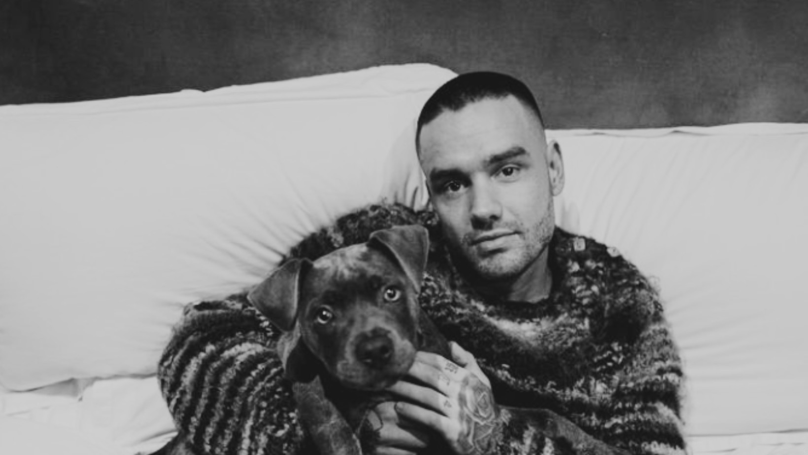 Wyniki sekcji zwłok Liama Payne’a z One Direction!