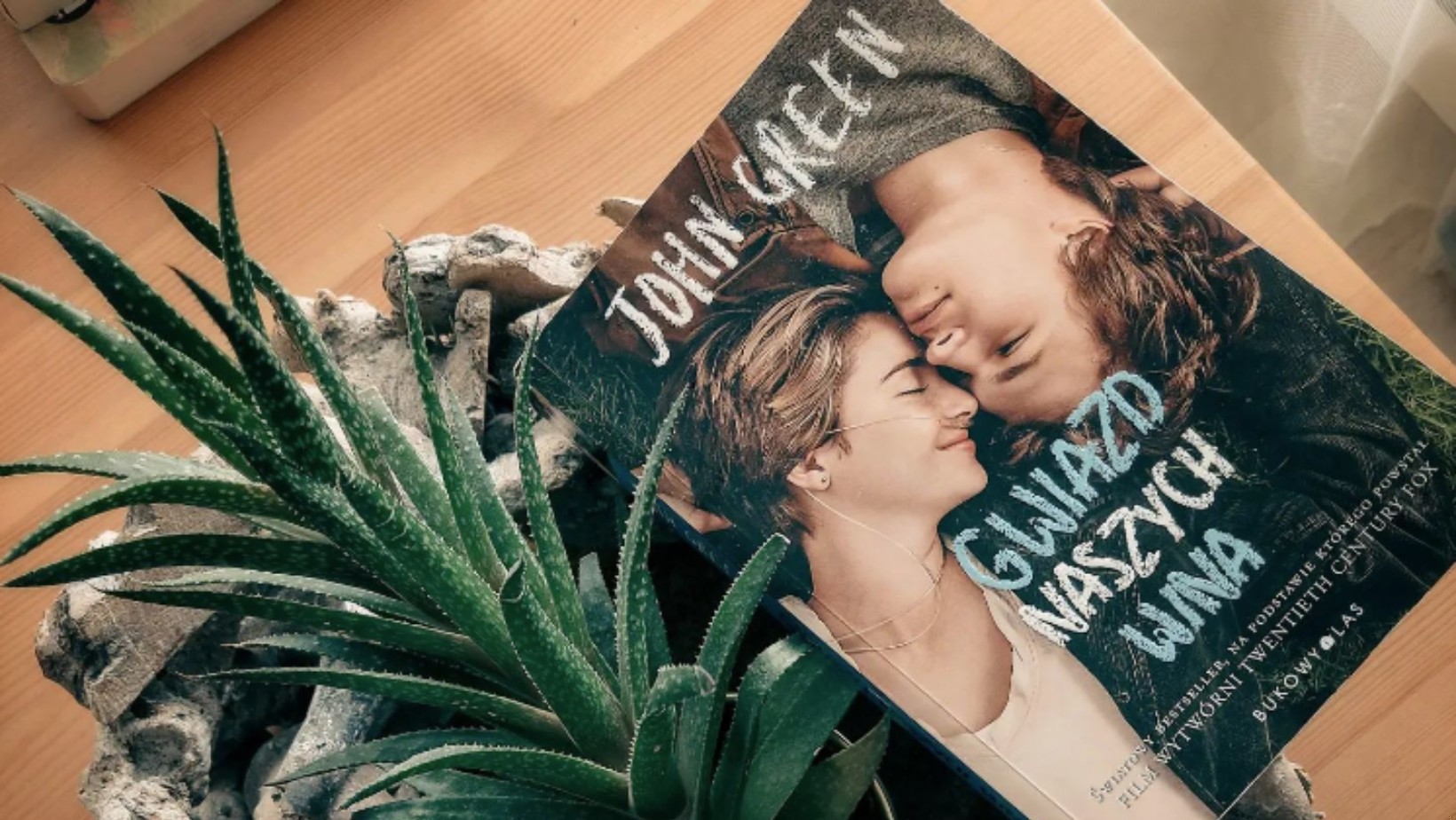 13 cytatów z książki „Gwiazd naszych wina”, które potrafią poruszyć serce