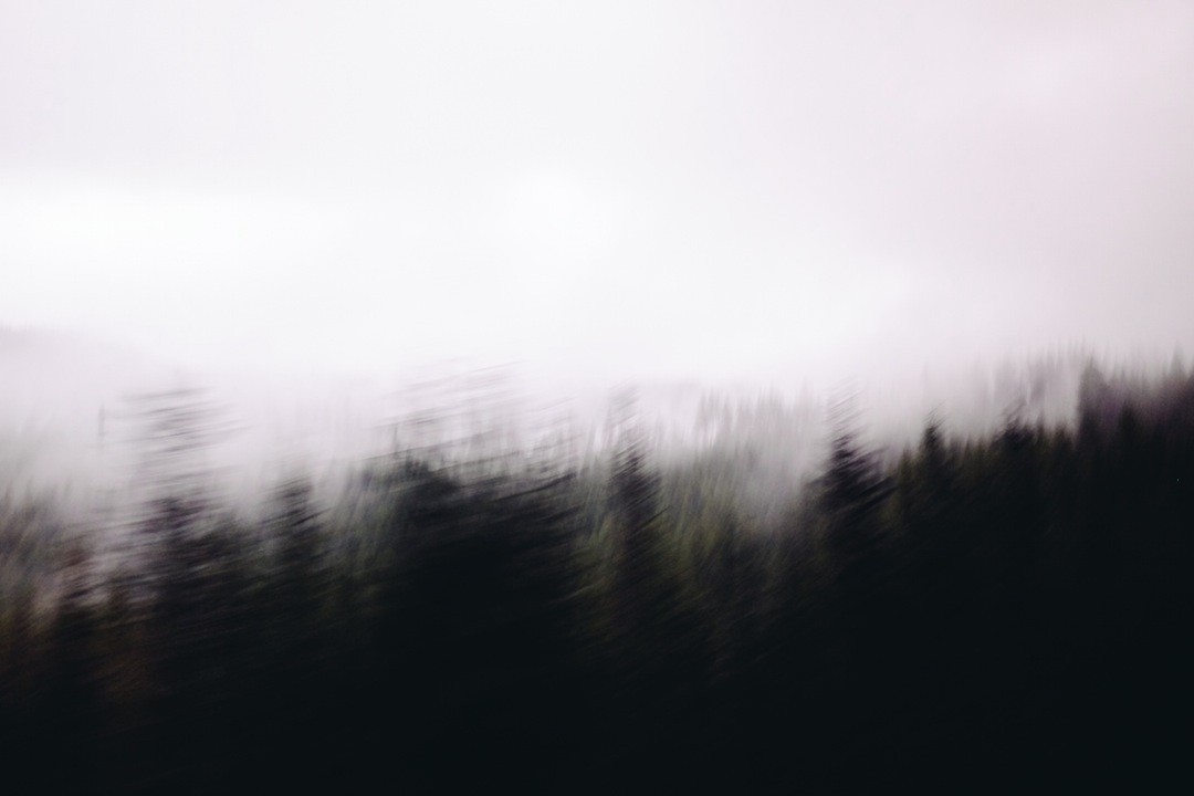 Trzeba być kretynem, żeby tak się wpakować w trupa i …