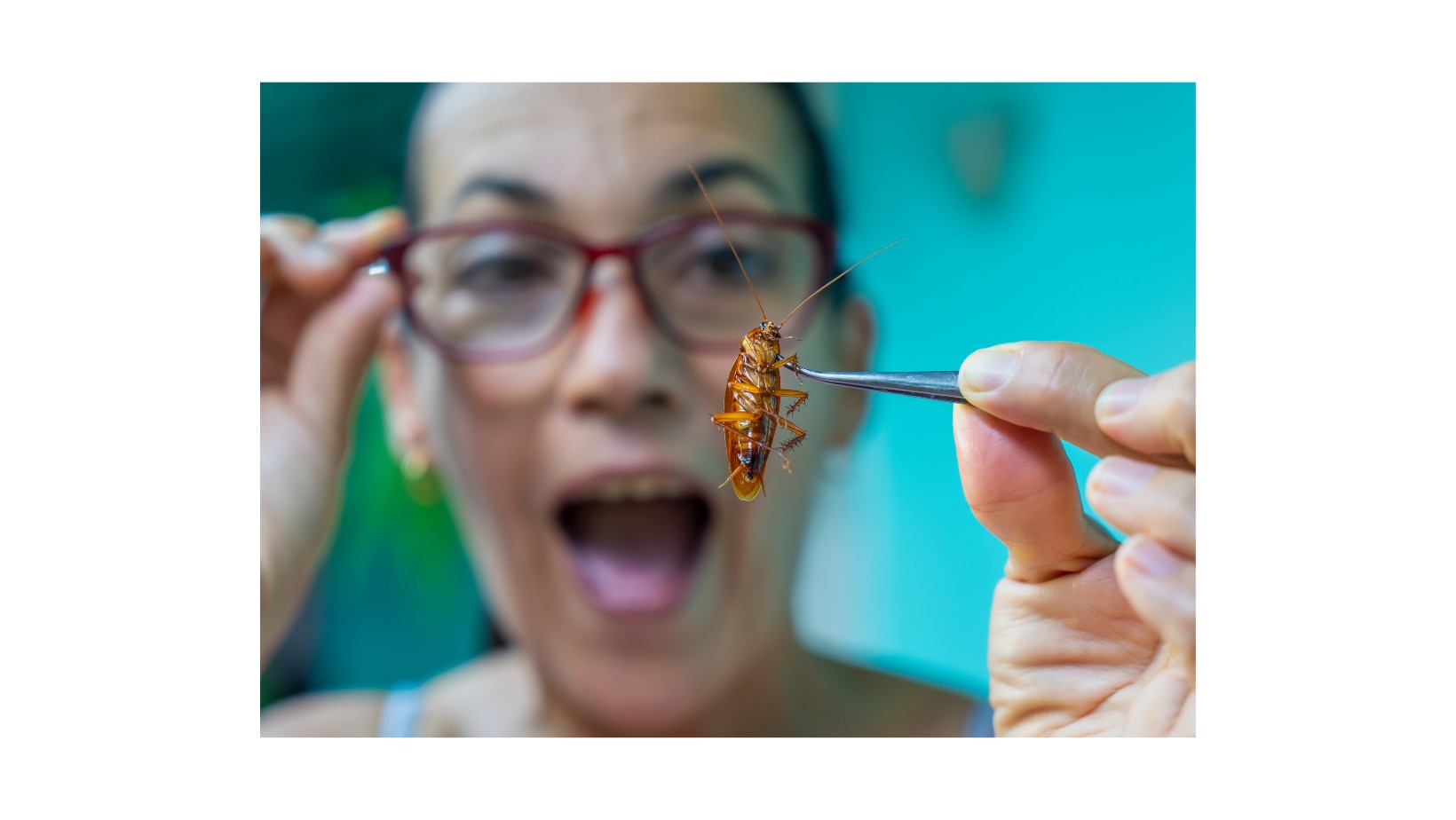 Karaluch nazwany imieniem byłego!? To nie żarty! Zraniona osoba musi za to zapłacić