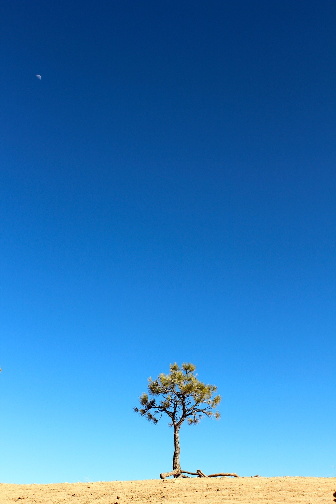 Informatycy w ogóle mają to do siebie, że strasznie nie …