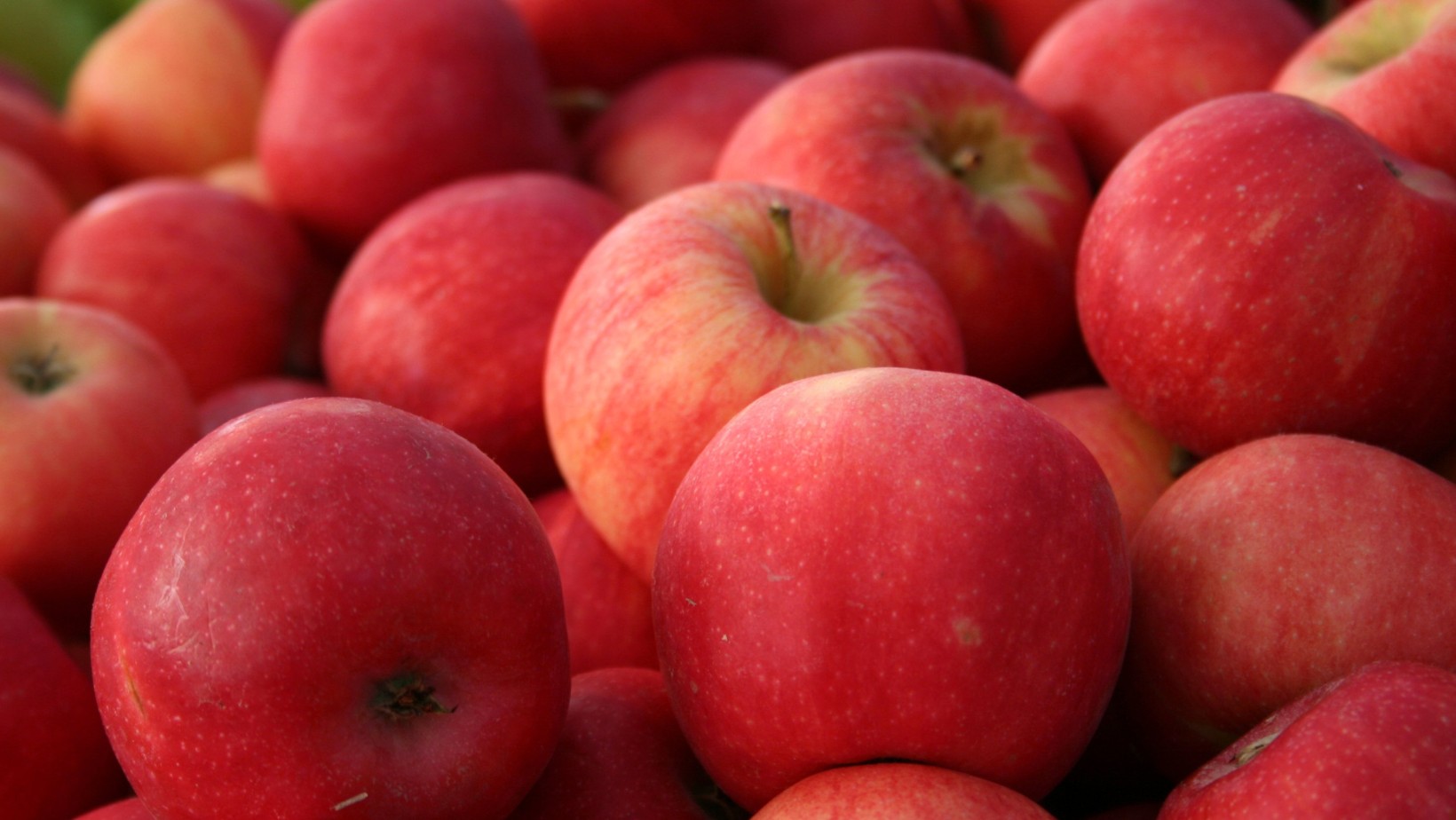 Zdjęcie Masz ten produkt z Lidla? Klienci proszeni o natychmiastowy zwrot! #1