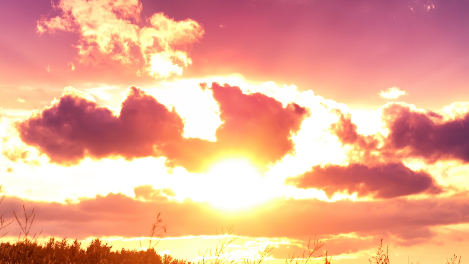 Zdjęcie "Jeszcze nie czas szepnęło życie, cierpliwości dodało serce" #1