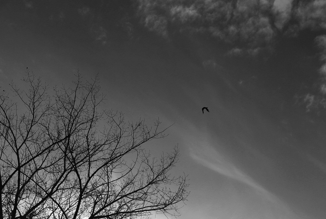 I co ty na to, Dandy? Pomyślał z samozadowoleniem.