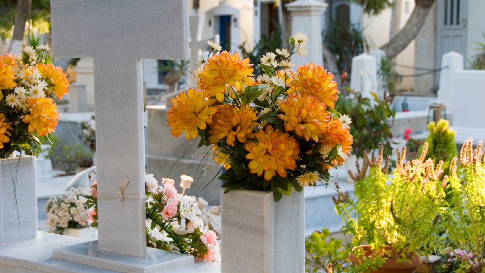 Wszystkich Świętych: ile kosztuje sprzątanie grobów? Ceny powalają…