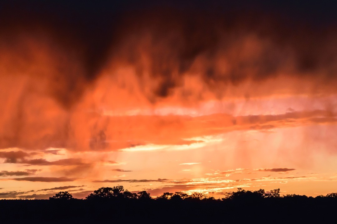 Jeśli coś łączy różne światy, to tylko poezja. No, może …