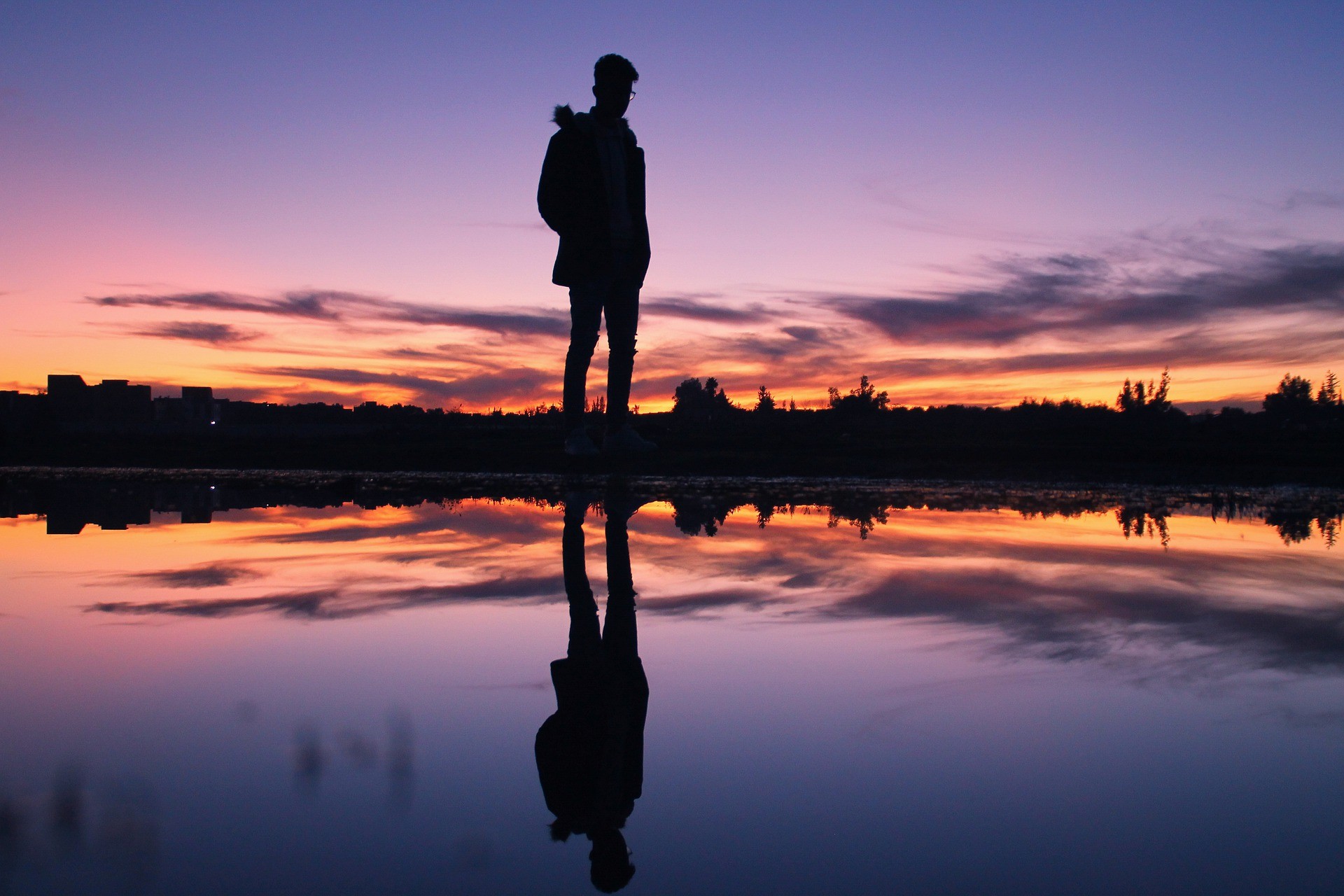 Mimikra- czym jest to zjawisko?