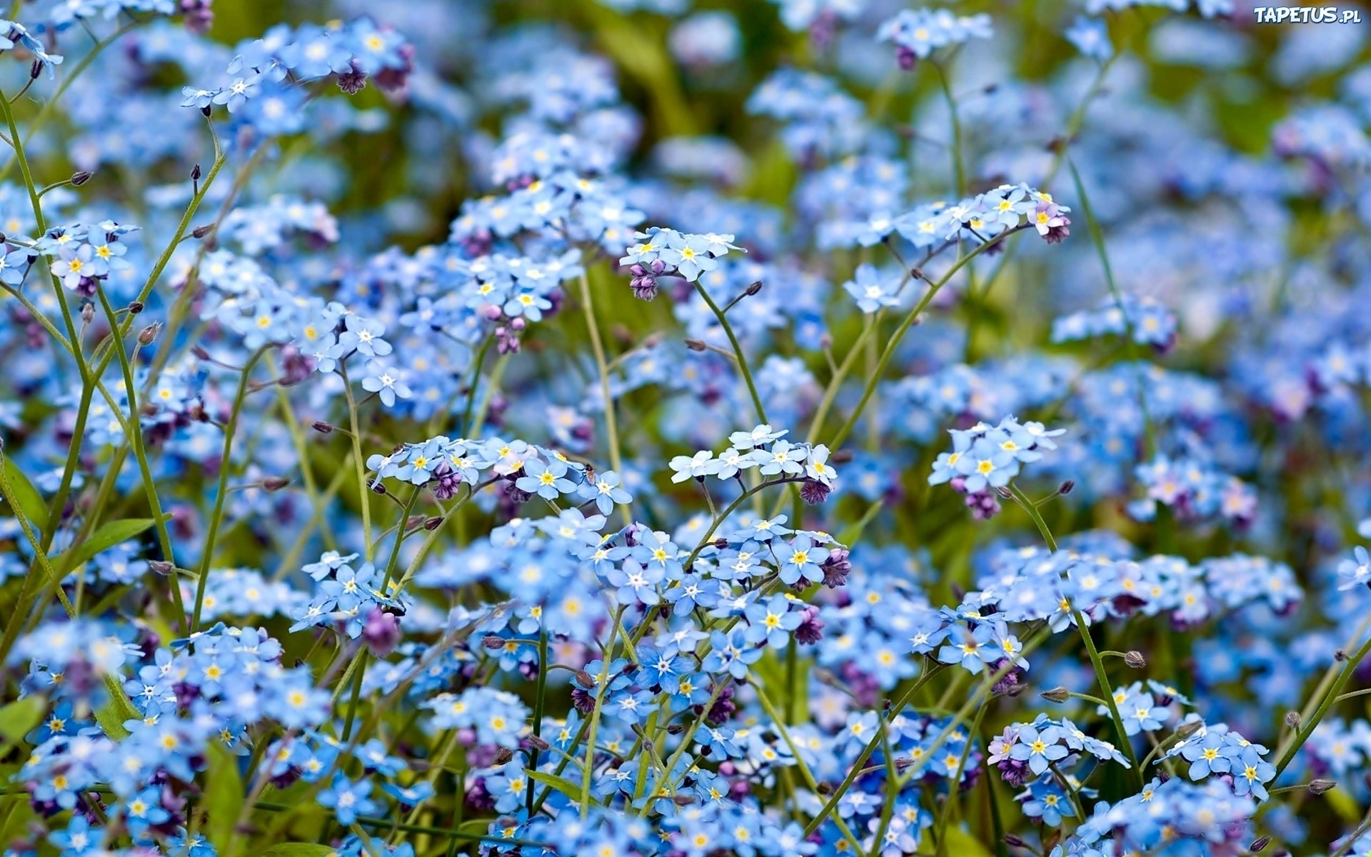 Kto poznaje siebie, poznaje Boga.