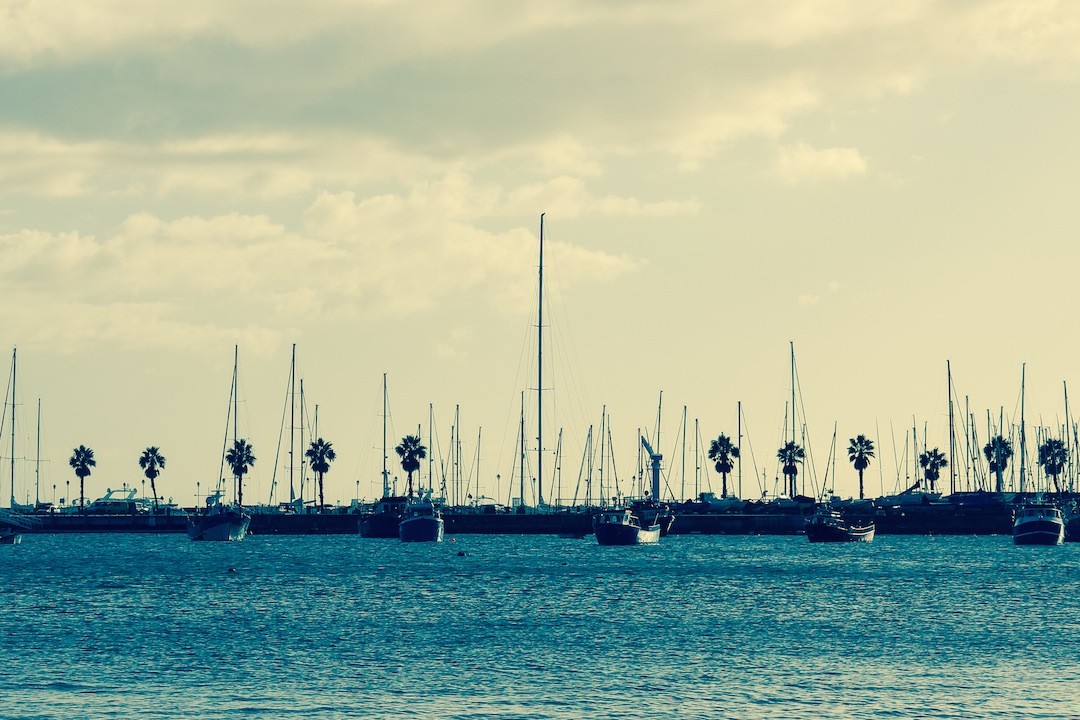 Cenię ludzi, o których z góry wiem, że nie dadzą …