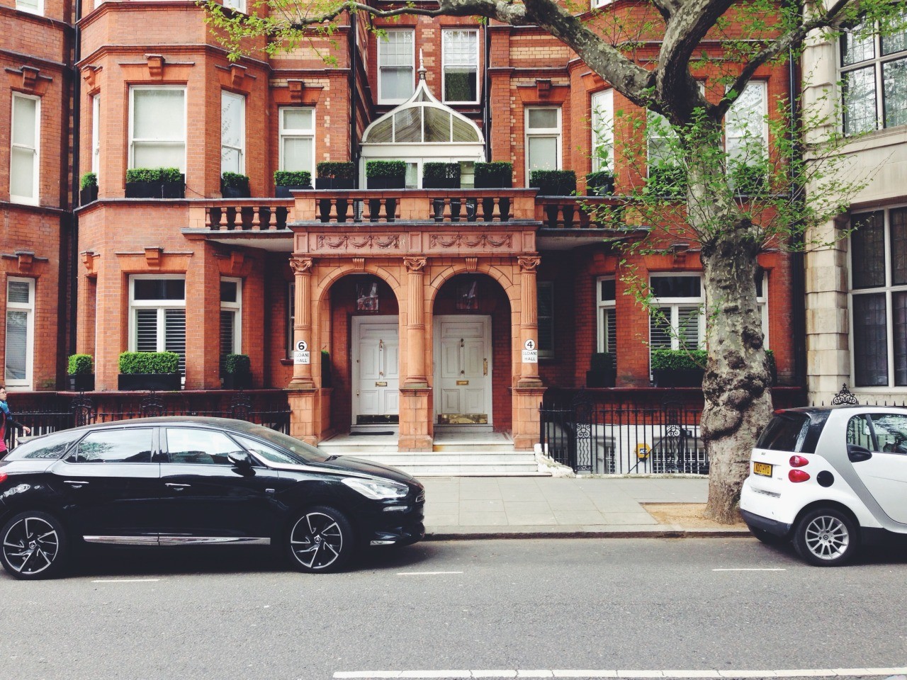 Kiedy rozum zdolny jest pojąć, co się wydarzyło, rany w …