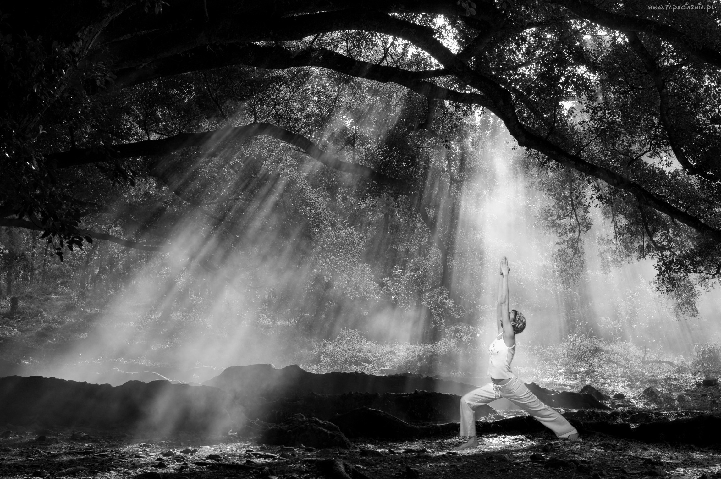 Próbą złota jest ogień.