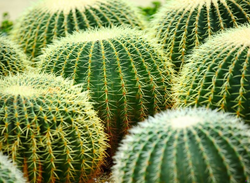 Przyzwyczajenie. Lenistwo. Tchórzostwo. Bóg jeden wie, dlaczego ludzie ze sobą …