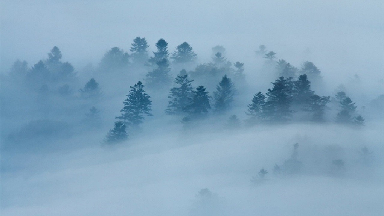 Najstraszniejsze są równania z wiadomą, której nie chcemy przyjąć do …