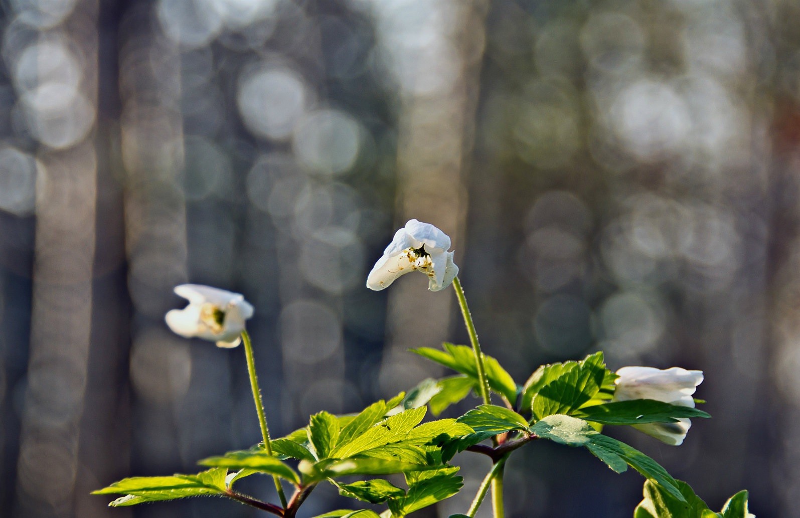 …ważną rzeczą jest nie to, co się daje, ale to, …