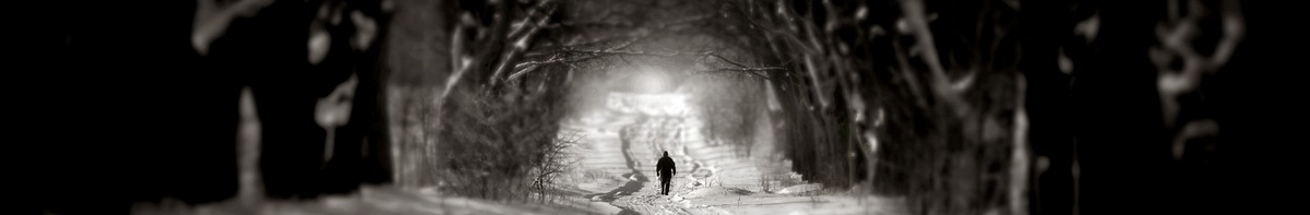 Lubię samotność ale niekiedy mam jej już dosyć. Wtedy szukam …