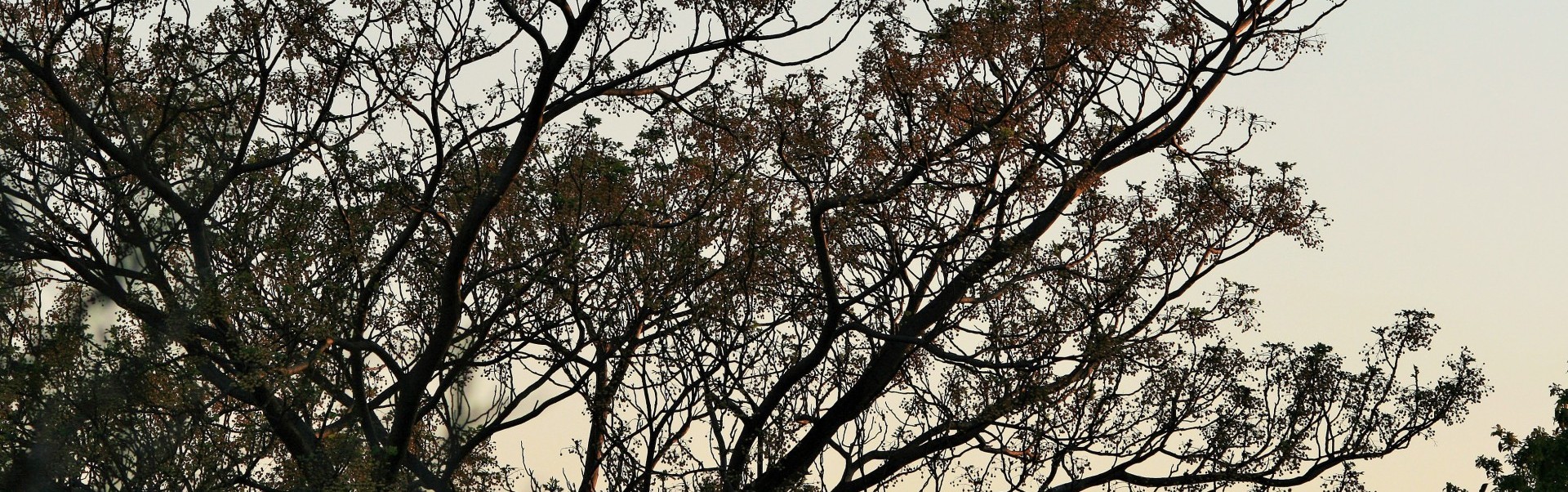 Nie ma nic bardziej względnego niż piękno. Jedna róża to …