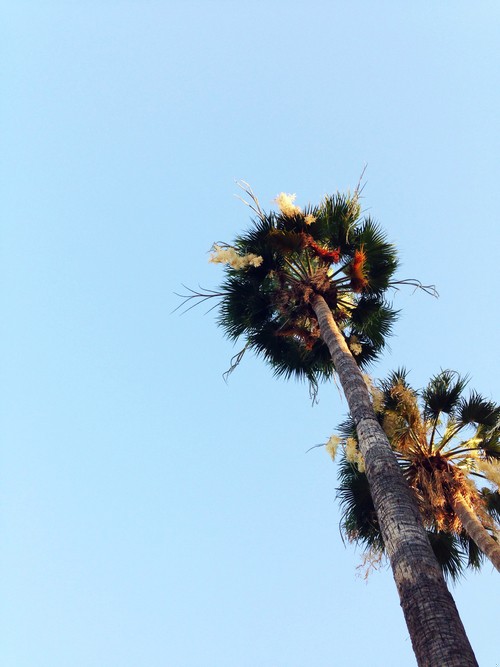 To wymaga odwagi by się rozwijać i stać się tym, …