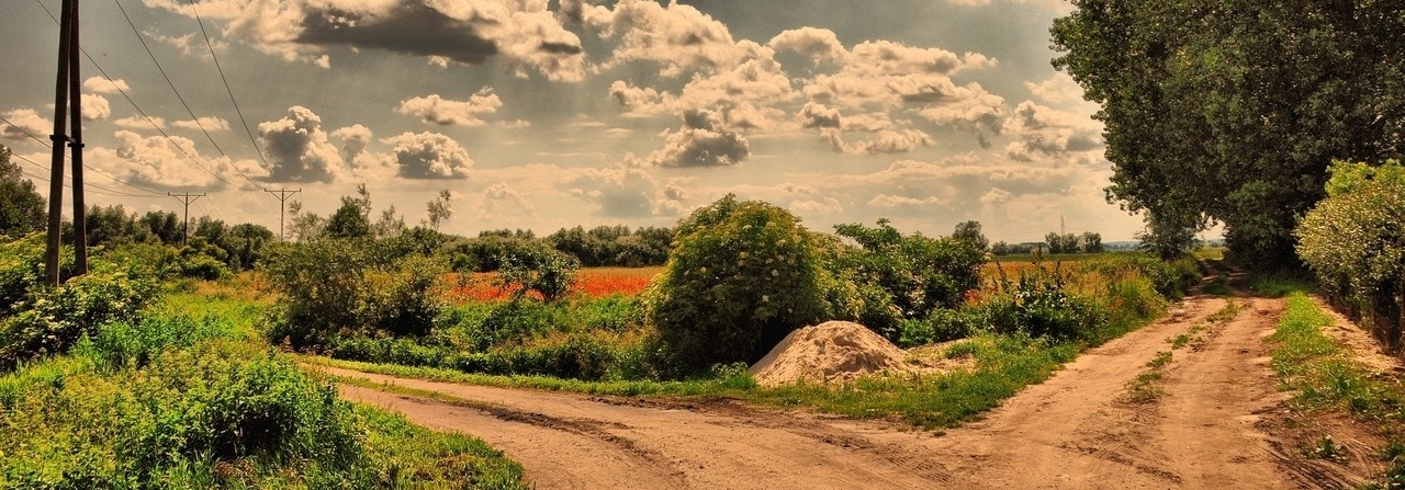 Czasami po prostu nie było dobrych wyborów.