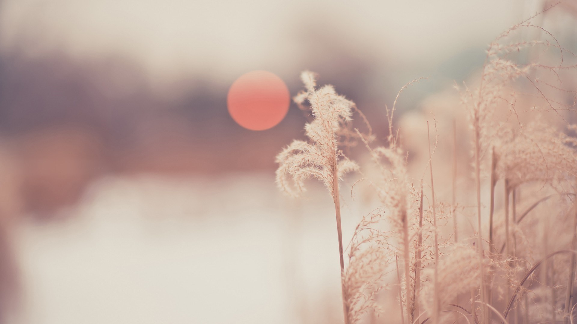 (…) złe myśli podsuwa nam obecność innych, ale najgorsze – …