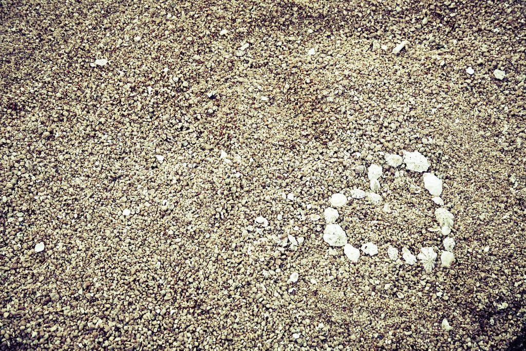 Nie ma lekarstwa, które wyleczyłoby z tego, czego nie leczy …