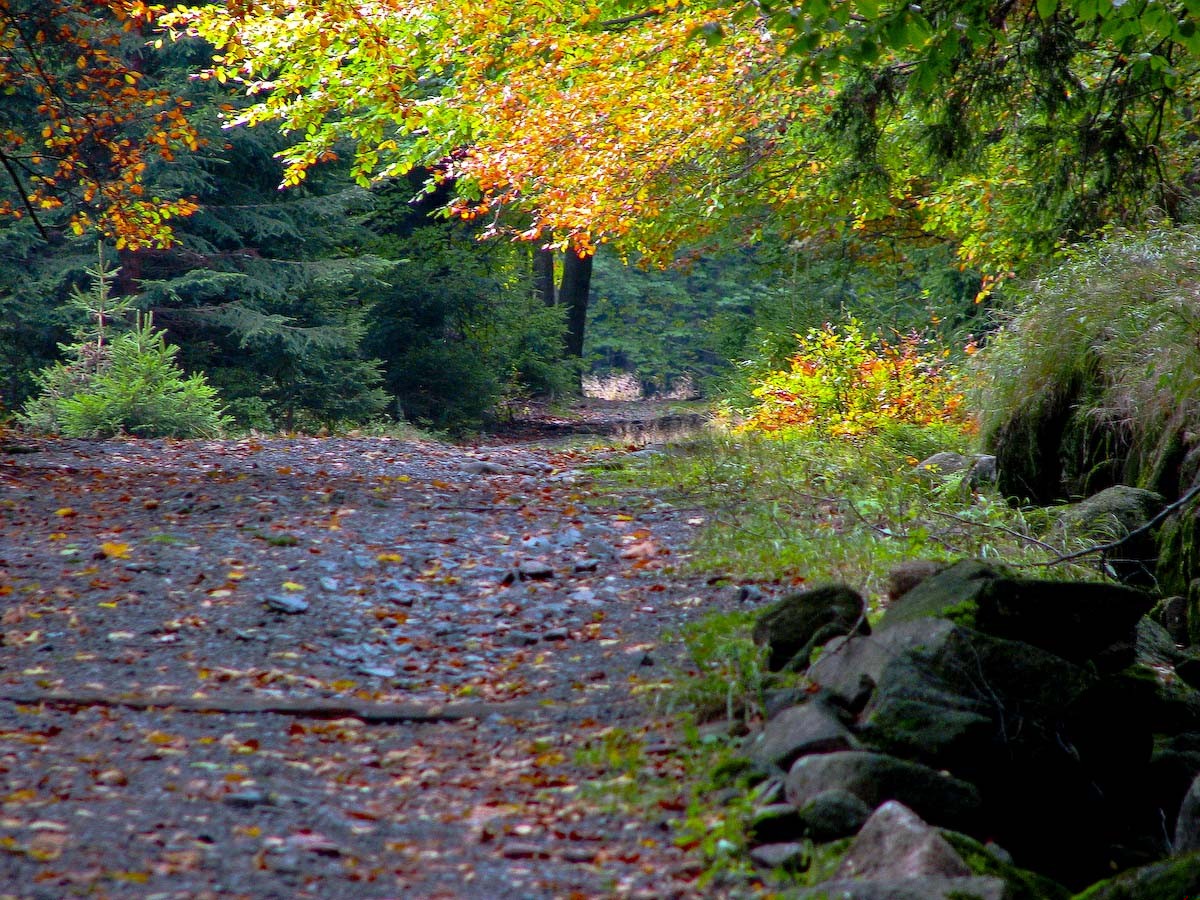 Diabeł stworzył po to młodość, byśmy popełniali błędy, a Bóg …