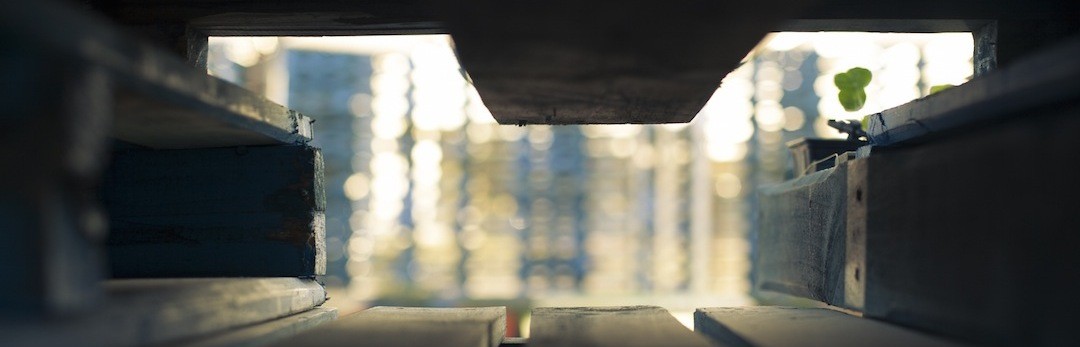 Źli ludzie nie trzymają kotów, to zwierzęta bardzo wyczulone na …