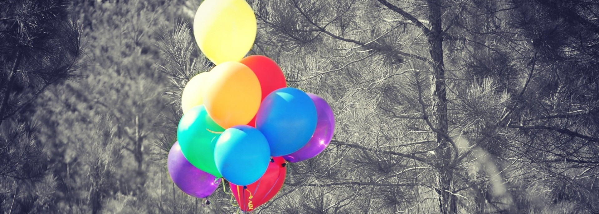 Byle nie wyrzekać się wolności. Jest ona cenniejsza aniżeli miłość.