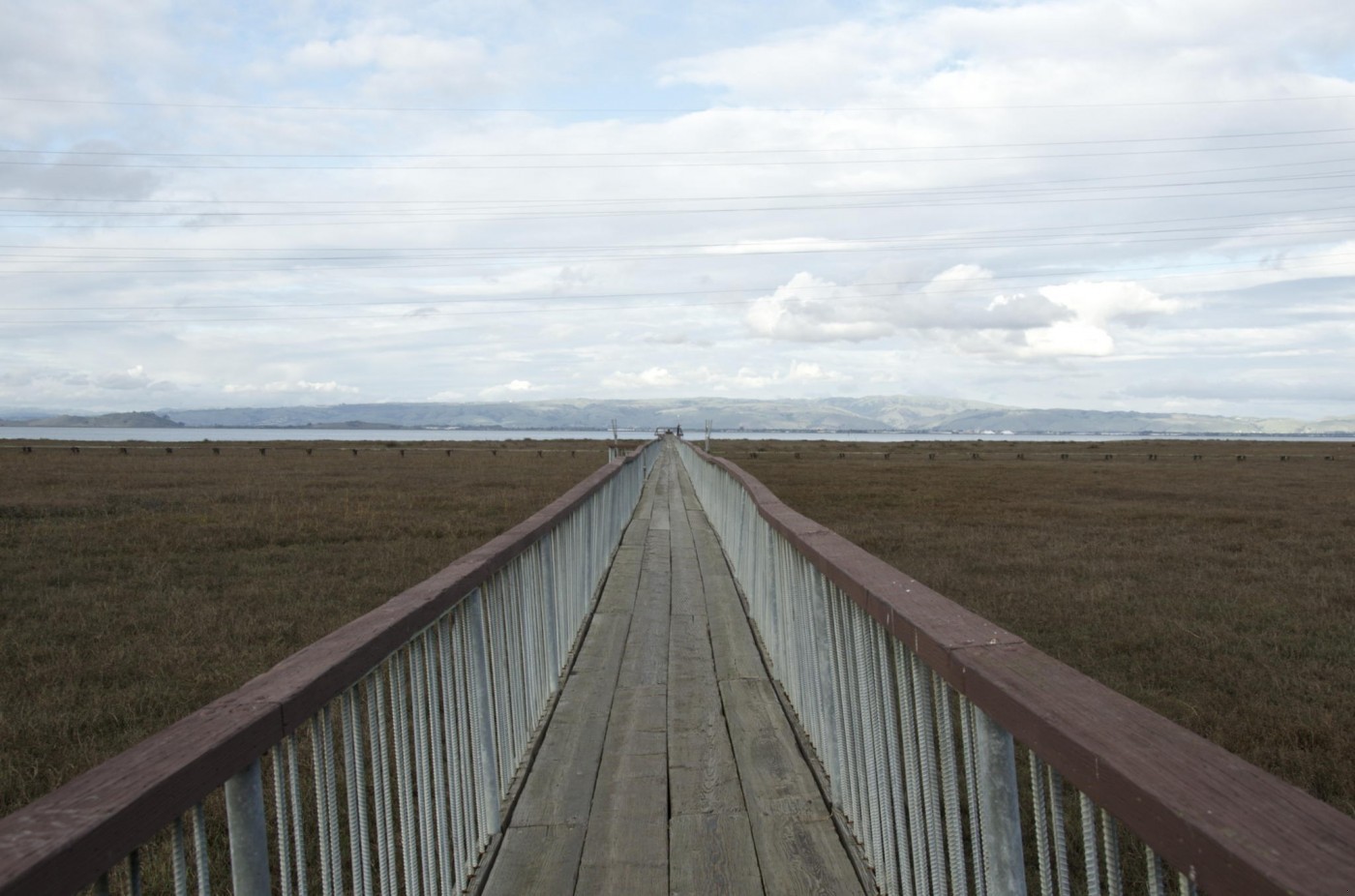 Strasznie było by umrzeć, nie wiedząc, co to prawdziwa miłość.