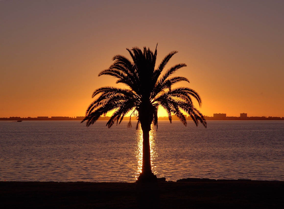 Jakże samotnie absurdalnie czuje się człowiek zwisający z okna.