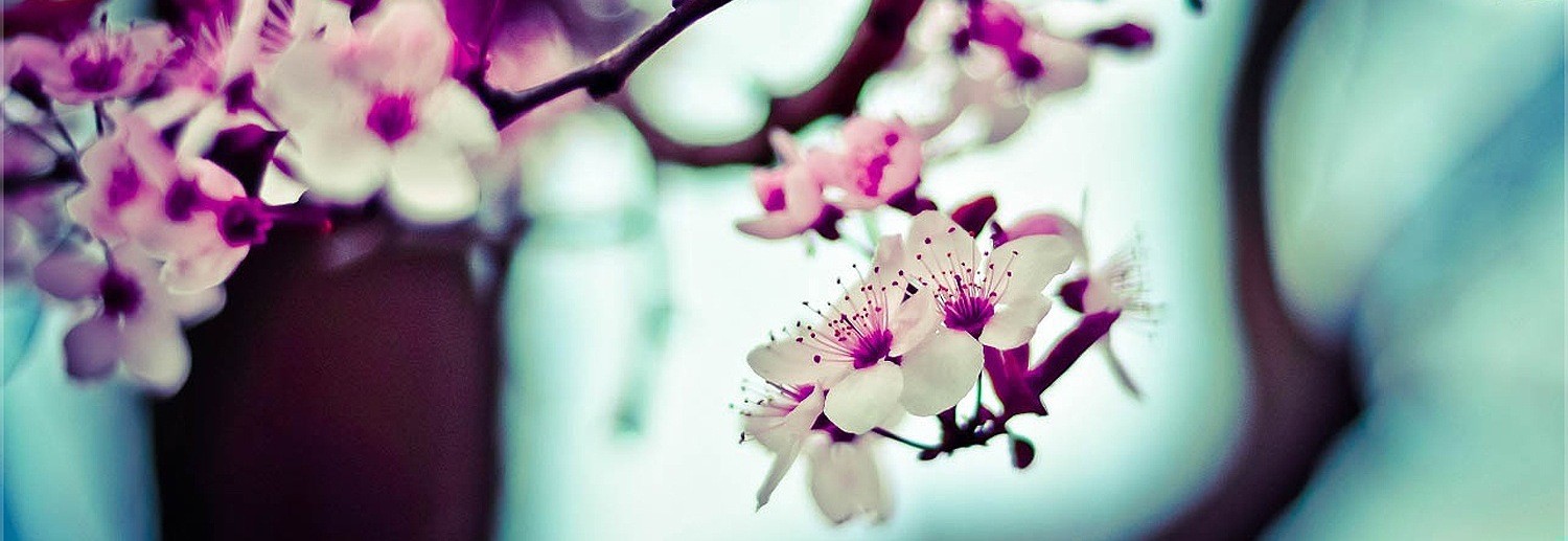 Błędy są częścią życia.