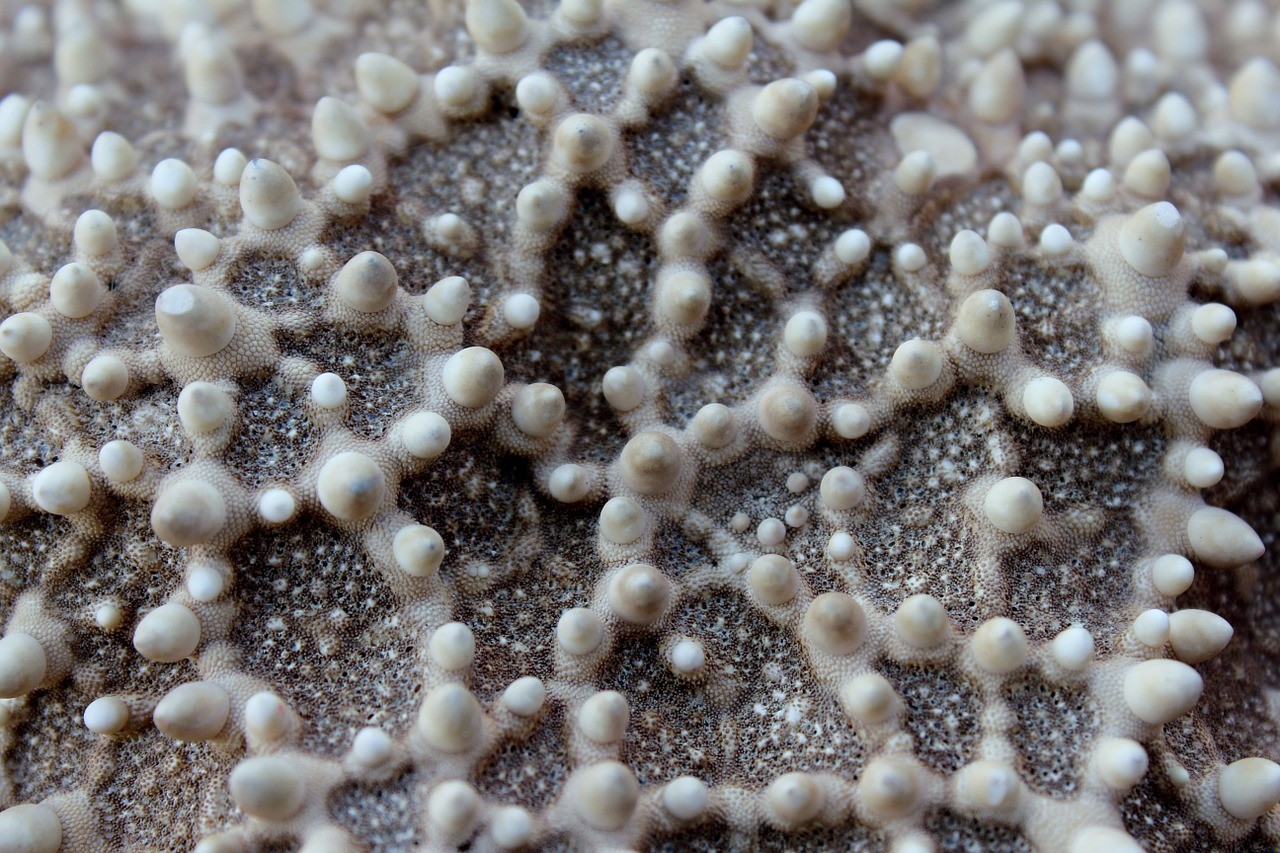 Chce się poczuć w końcu gdzieś dobrze, wiedzieć, że tam …