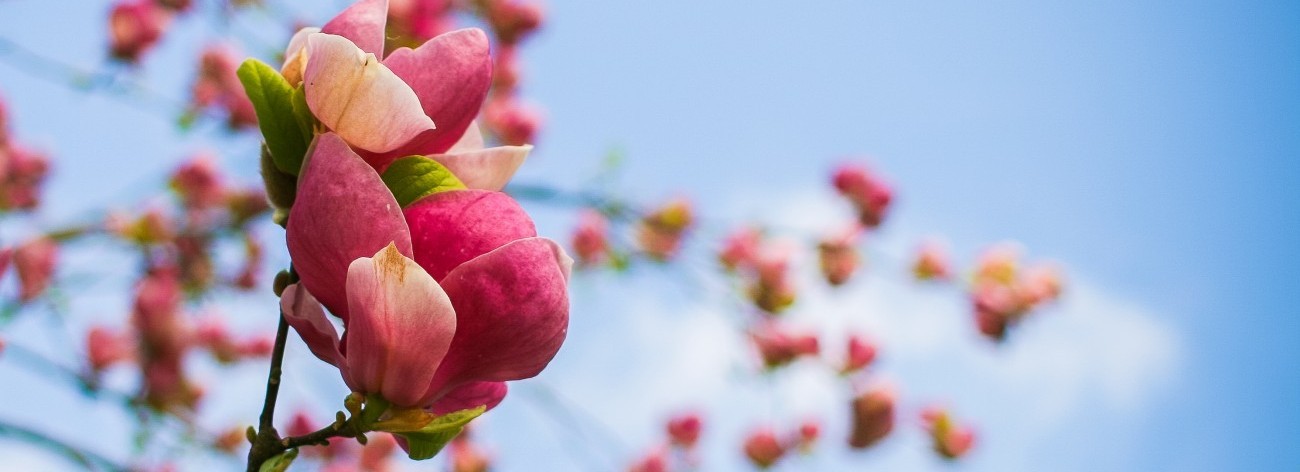 Marino, zabrałaś ze sobą wszystkie odpowiedzi.
