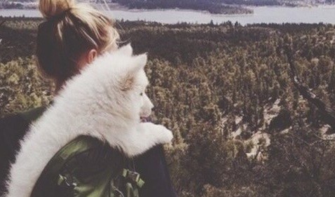 Krzywdzenie innych jest najgorszą rzeczą, jaką ludzie mogą sobie wyrządzić.