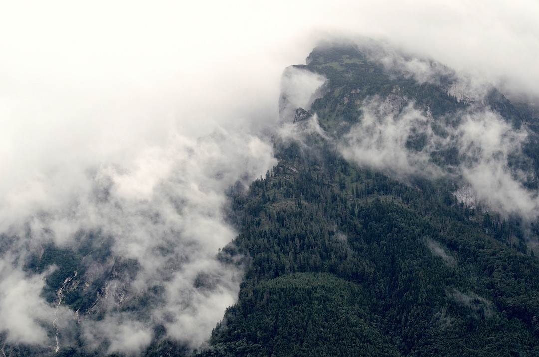 Światło wierzy, że przemieszcza się szybciej od wszystkiego, ale się …