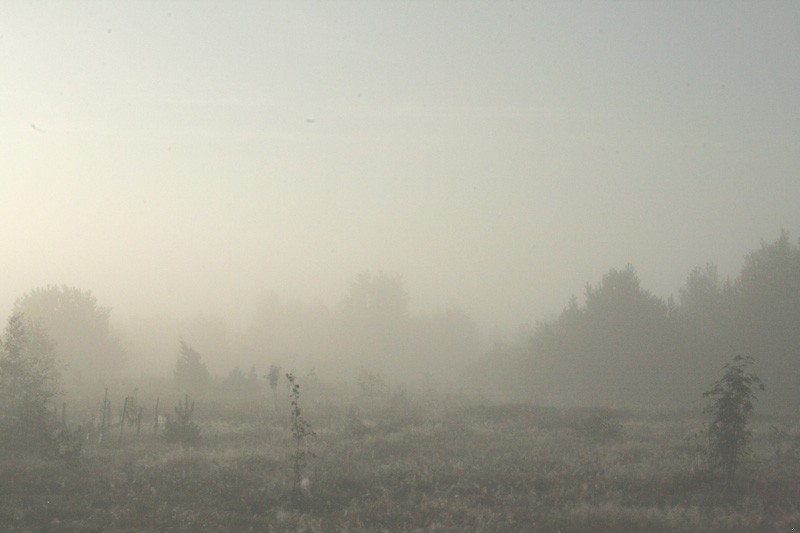 Wielką pychą sprowadzisz na się wielkie poniżenie.