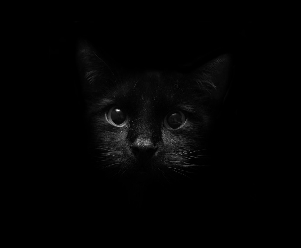 Uciekać mogą tylko Ci, którzy mają dokąd wracać