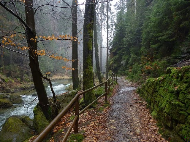 Powiedział to obojętnie, jakby jego słowa były spinaczami, którymi przyczepia …