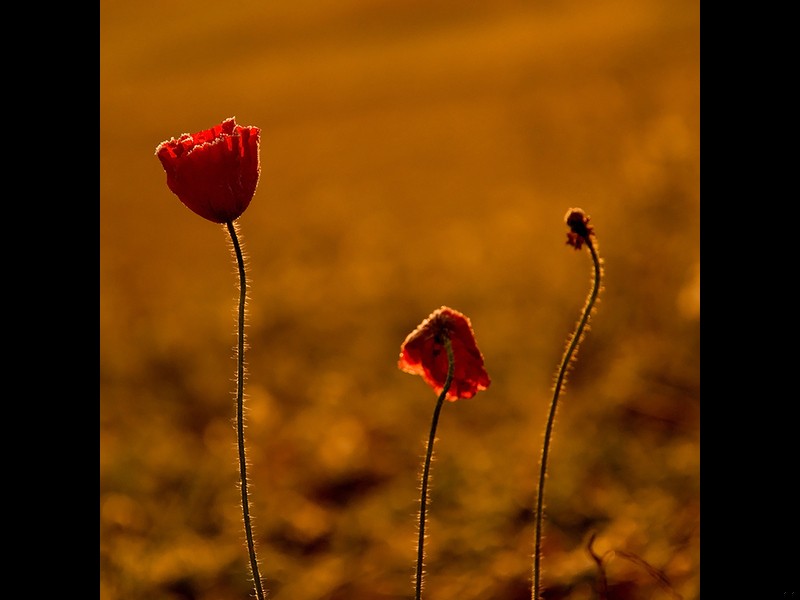 Nieraz człowiekowi wydaje się, że coś trwało bardzo długo, podczas …