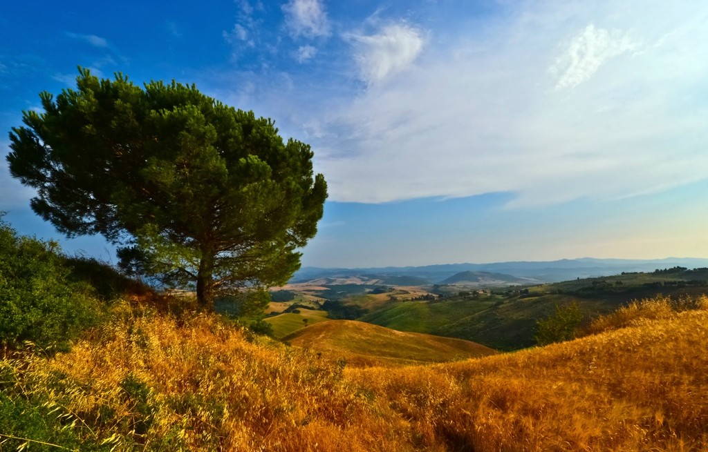 Życie bez czytania jest niebezpieczne, trzeba zadowolić się samym życiem, …