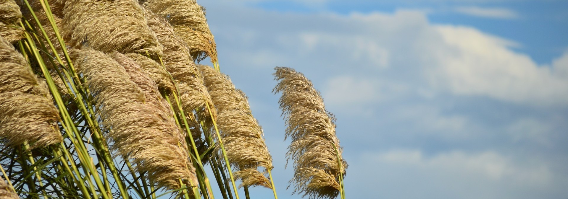Jestem kapryśny, gdy odkryję, że ktoś nie ma ani serca, …