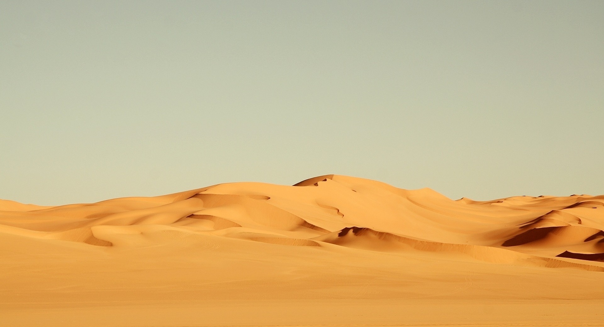 Wszyscy ciągle znikają. Niektóre rzeczy nagle przestają istnieć, jakby zostały …