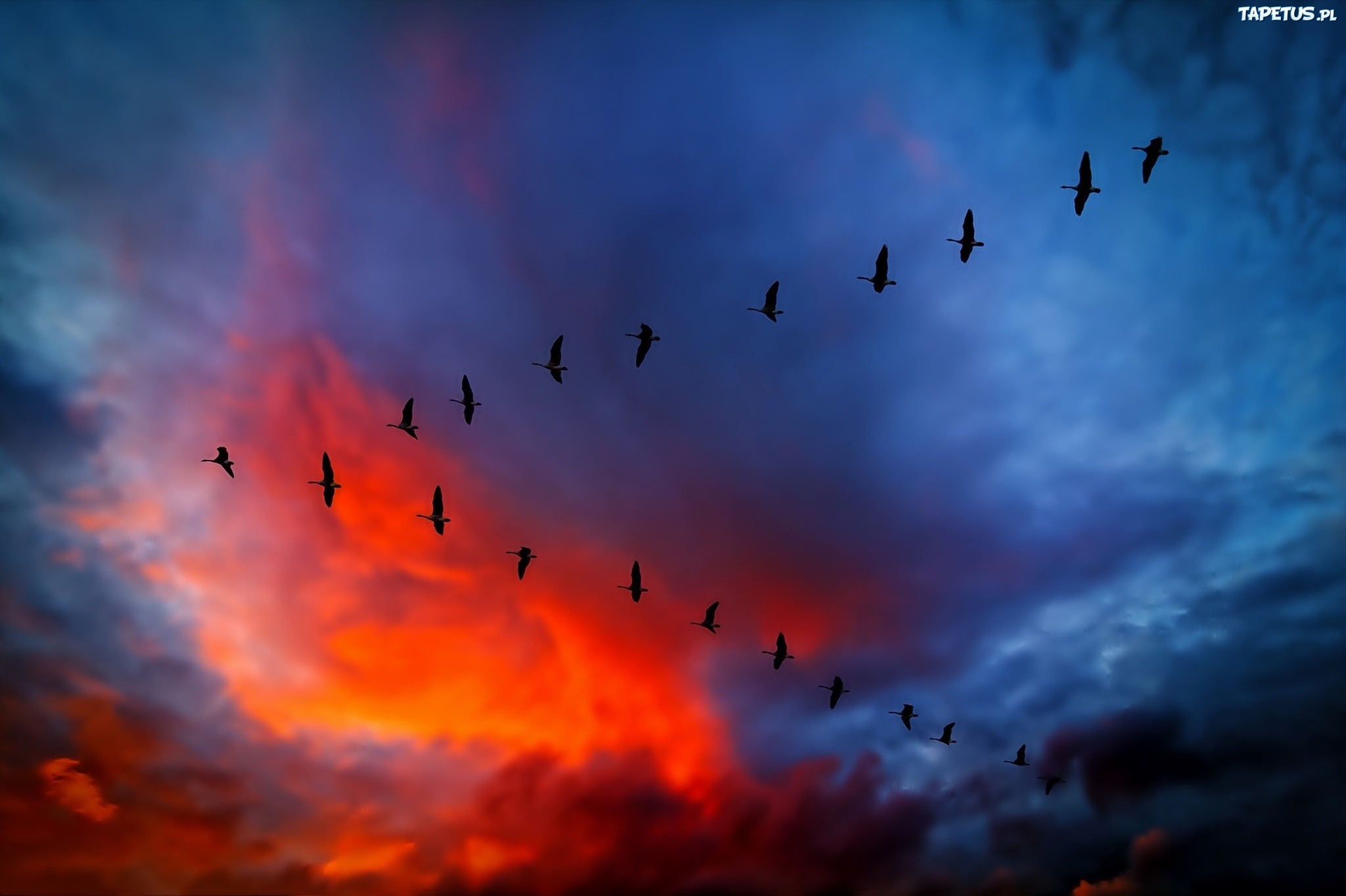 Rzecz w tym, że strachu nie da się wyeliminować. Strach …