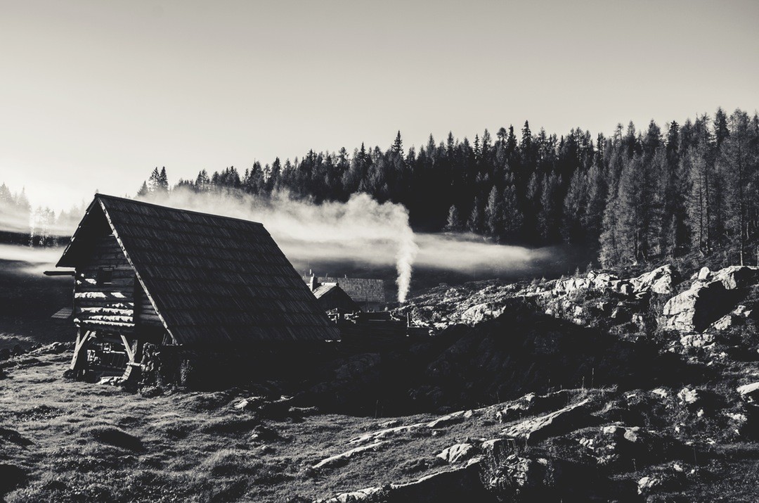 Wielkich prawd nie zdobywa się bez trudu i pracy.