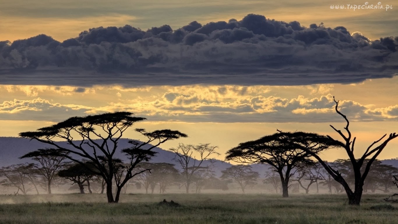 Aby śmiało patrzeć w przyszłość, nie trzeba niczego, prócz wiary.