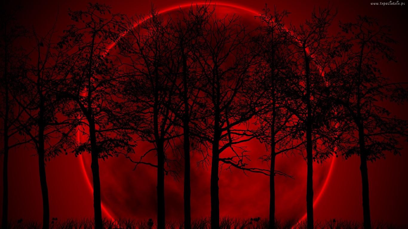 Kim że jesteś by domagać się wolności bez udowodnienia swej …